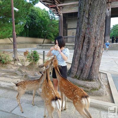 高松市ラウンジ2026-09-25 11:23:07のお気に入り写真